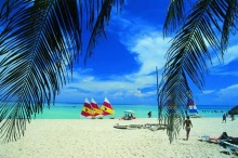 Summer 2012 Special Offer